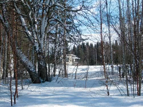 Laadukkaat Taiteilija Ja Askartelutarvikkeet Askartelukulma Kuopio