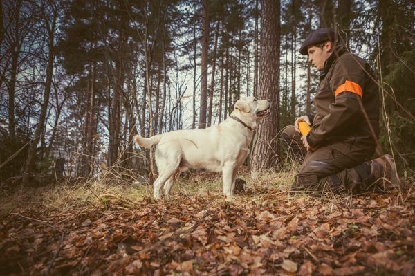 Mehilainen Kuopio Laakarikeskus Ja Tyoterveys Mehilainen